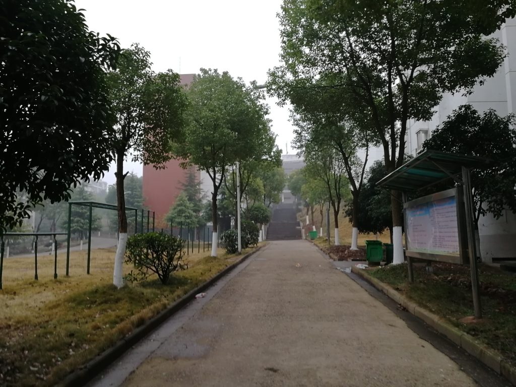通往食堂的“干饭之路”,班主任有“三快”理论:快走路、快吃饭、快投入。