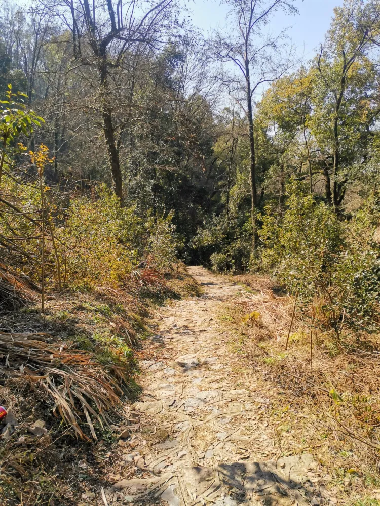 不走来时路,下山时挑战山谷旁的险峻小路,前往楠竹林